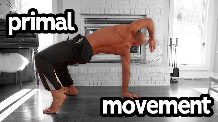 Primal Movement Beginner Flow Tutorial (Follow Along)