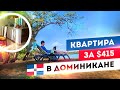 ДОМИНИКАНА 🌅 Детский сад в Лас-Терренас 👫 Дешевая квартира за $415 🏠 Угорь по €1000 за кг