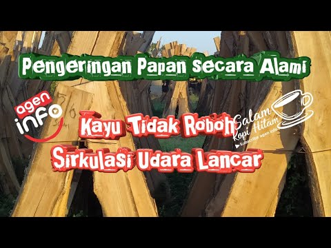 teknik pengeringan papan kayu secara alami || Natural kiln dry