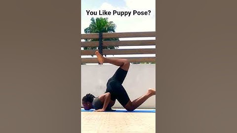 Puppy Pose For Back and Chest 😍 #shorts #yoga #tutorial #yogapractice #puppypose #backstretch #fun