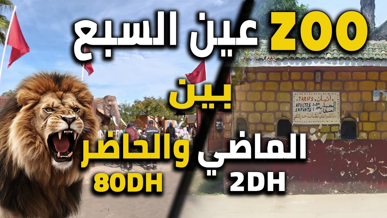 🌿  حديقة الحيونات عين السبع 🦁 تتنفس من جديد تحول مذهل 😍 من الصمت إلى الحياة 🌿