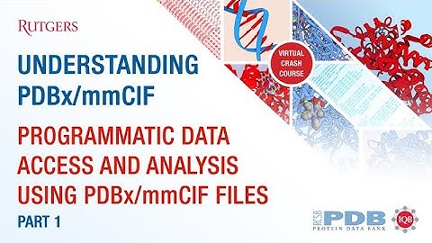 Programmatic data access and analysis using PDBx/mmCIF files, Part 1