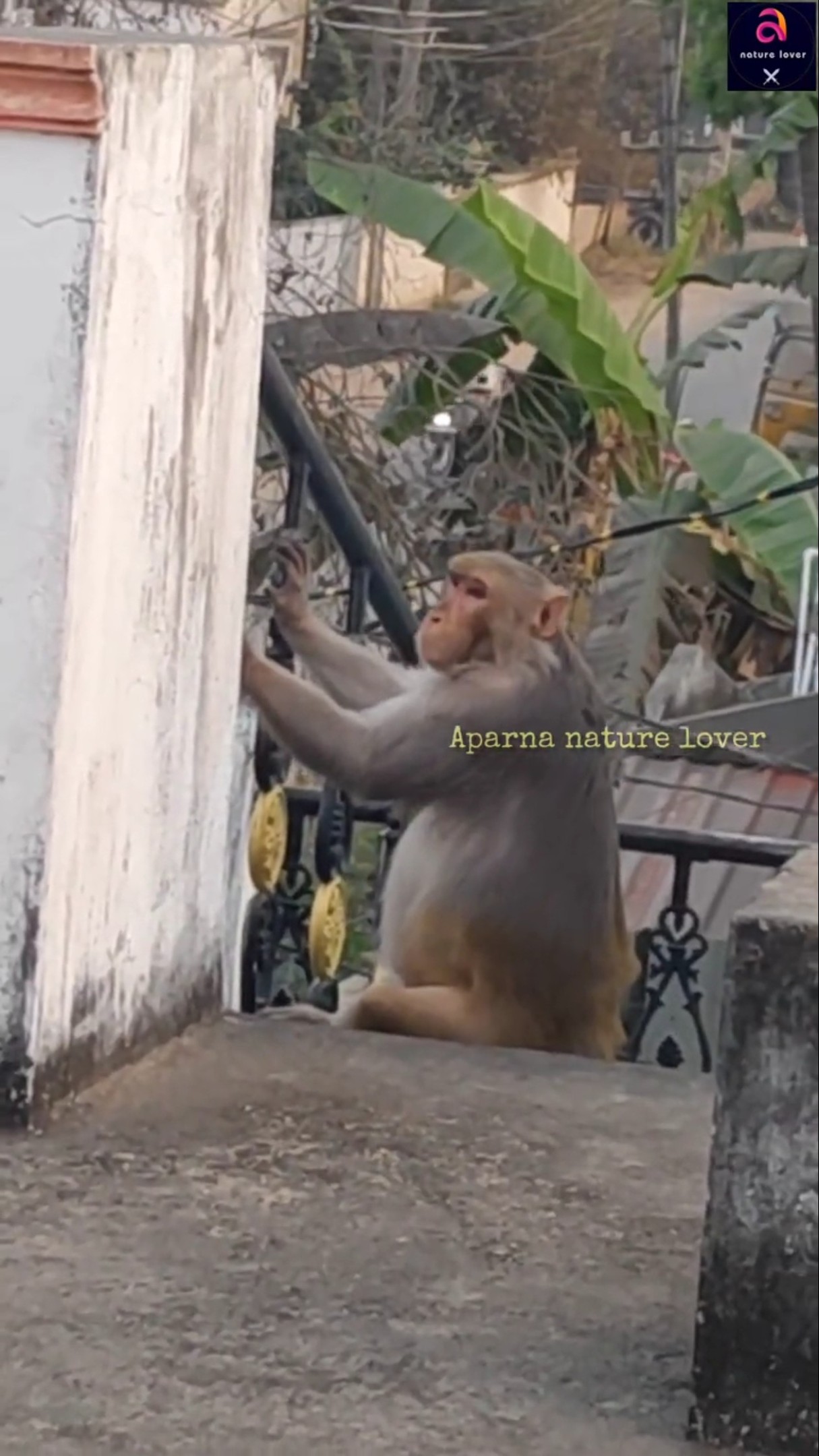 📽ట్రెండింగ్ వీడియోస్📱 - ShareChat