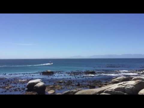 Boulders Beach, Cape Town