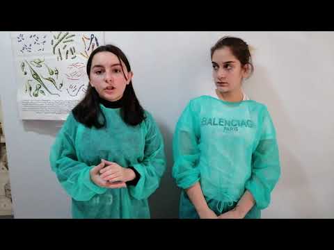 ,,  ანტიბაქტერიული საშუალებების ეფექტურობის დადგენა  “