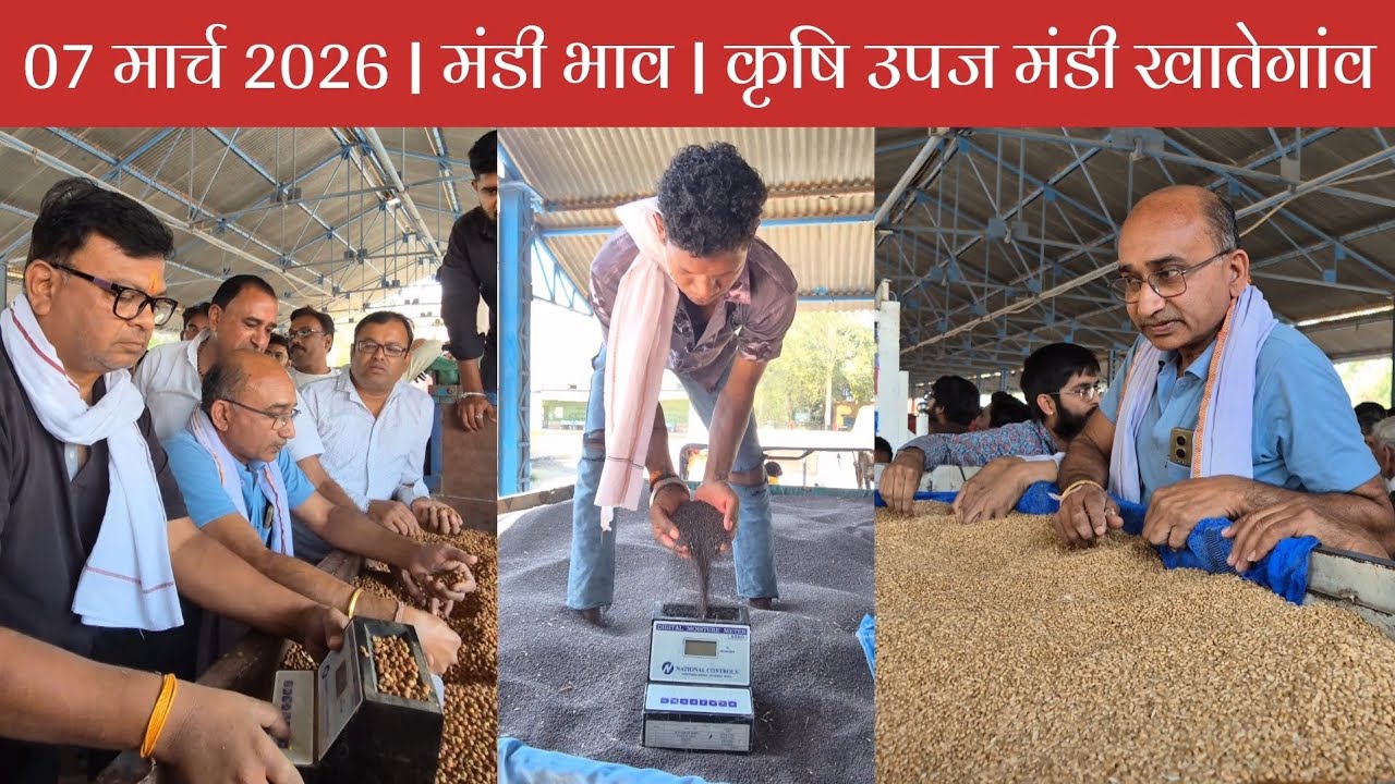 07 मार्च 2026 | मंडी भाव | कृषि उपज मंडी खातेगांव, जिला-देवास (म.प्र.)