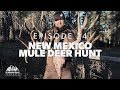 We love New Mexico - Ep.24 - New Mexico Mule Deer Hunt