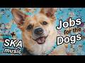 DOGCUPATIONS - A Career Day Tale | Animated Ska Music Video Series