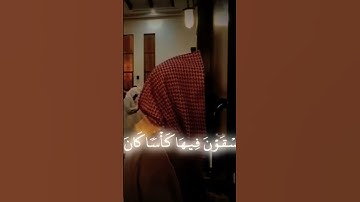 اكتب شيء تؤجر عليه #راحة_نفسية #تلاوة_خاشعة #لايك #محمد_اللحيدان #قران_كريم