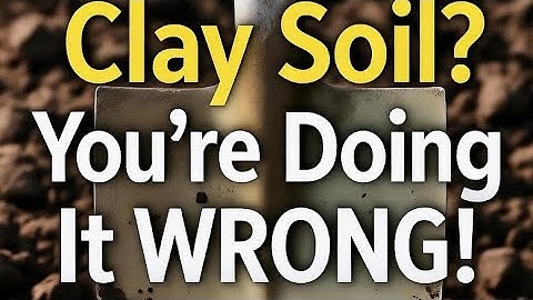 "Stop Digging! This Amish Soil Trick FIXES Clay Forever (My Secret Shortcut)”