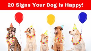 SHOCKING: 20 UNBELIEVABLE Signs Your Dog is happy and healthy! |  Is Your Dog Truly HAPPY? by All For Love 368 views 7 months ago 2 minutes, 59 seconds