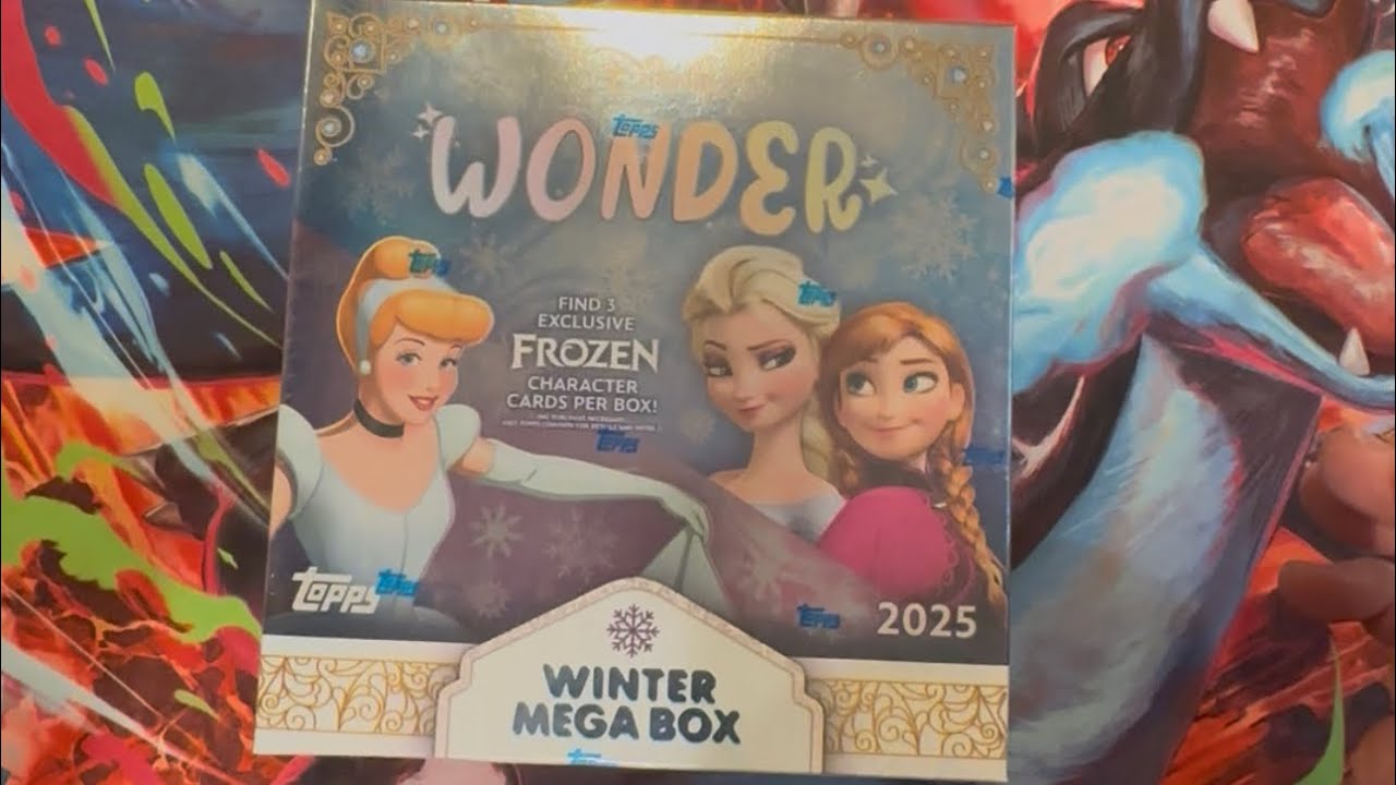 Disney Wonder Hobby Box! ￼