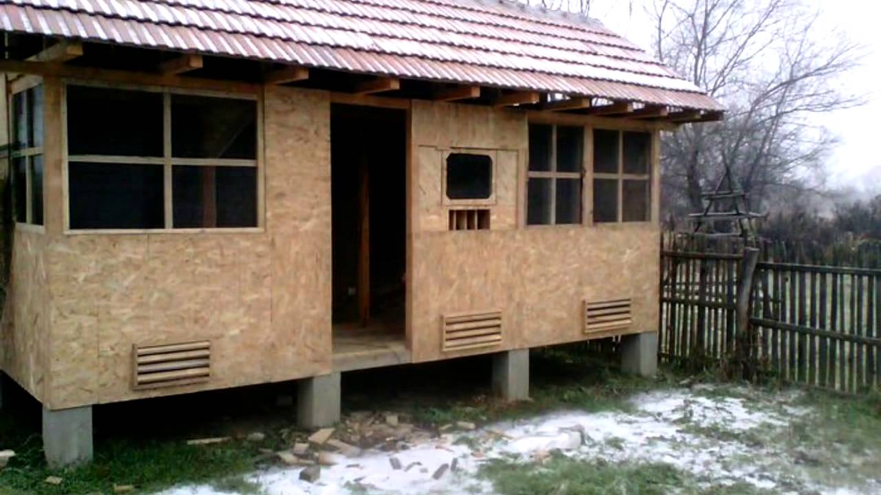 Crescatorie porumbei Radu Vladut