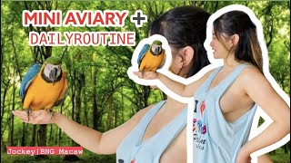 DIY Mini Aviary Tour + Daily routine with birds