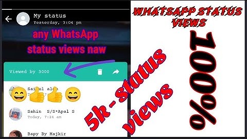 Whatsapp Status Views | Get Unlimited Views On Whatsapp Status | TechEasy