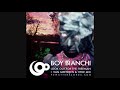 Boy Bianchi - Look out for the treeman (van meeteren and hyde remix)