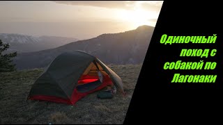 видео: Одиночный поход в горы с собакой. КПП Лагонаки-Матук- Мезмайская двухэтажка. Переход через Курджипс. картинка: Одиночный поход в горы с собакой. КПП Лагонаки-Матук- Мезмайская двухэтажка. Переход через Курджипс.