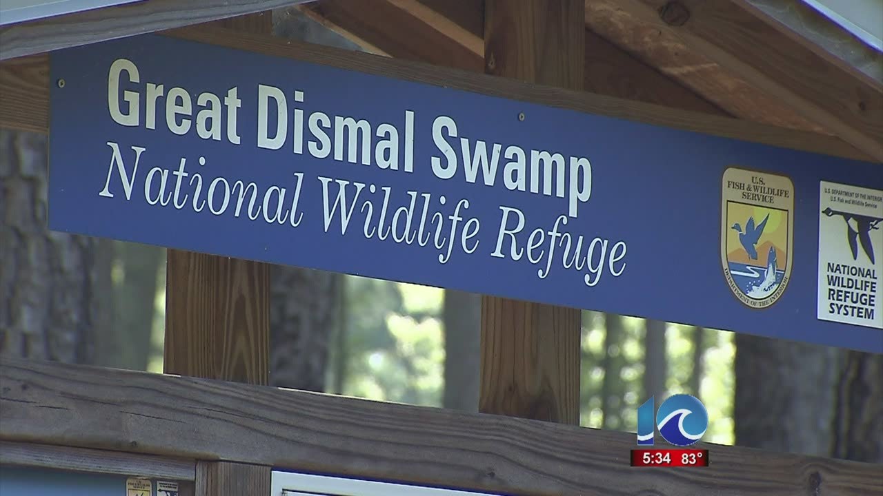 Walter Hildebrand on shutdown of the Great Dismal Swamp YouTube