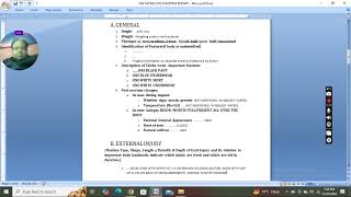 How to make a typed format of post mortem report?