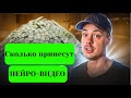 Сколько принесут видео сделанные НЕЙРОСЕТЬЮ?