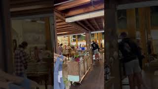 DOWNTOWN CORVALLIS OREGON VLOG