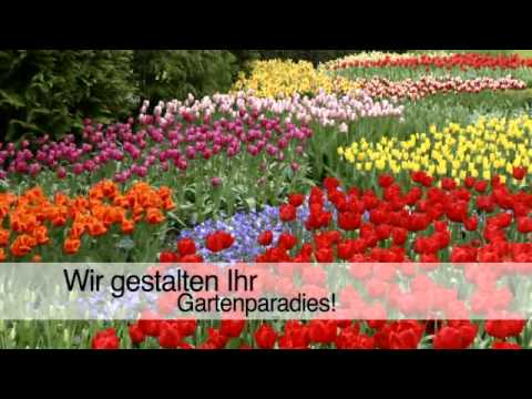 gartenpflege-schwalbach,-saar-becker-gartengestaltung-gmbh