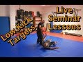 Live Seminar Lessons: Low Kick Targets