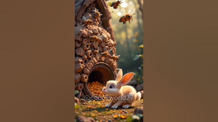 Bee Attack 🐝 vs Brave Squirrel Coco | Jungle Rescue #shorts #youtubeshorts #animation