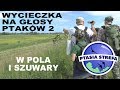 Wycieczka na głosy - pola i szuwary