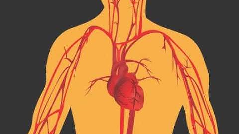 Elastic shape memory polymeric stent with retraction function