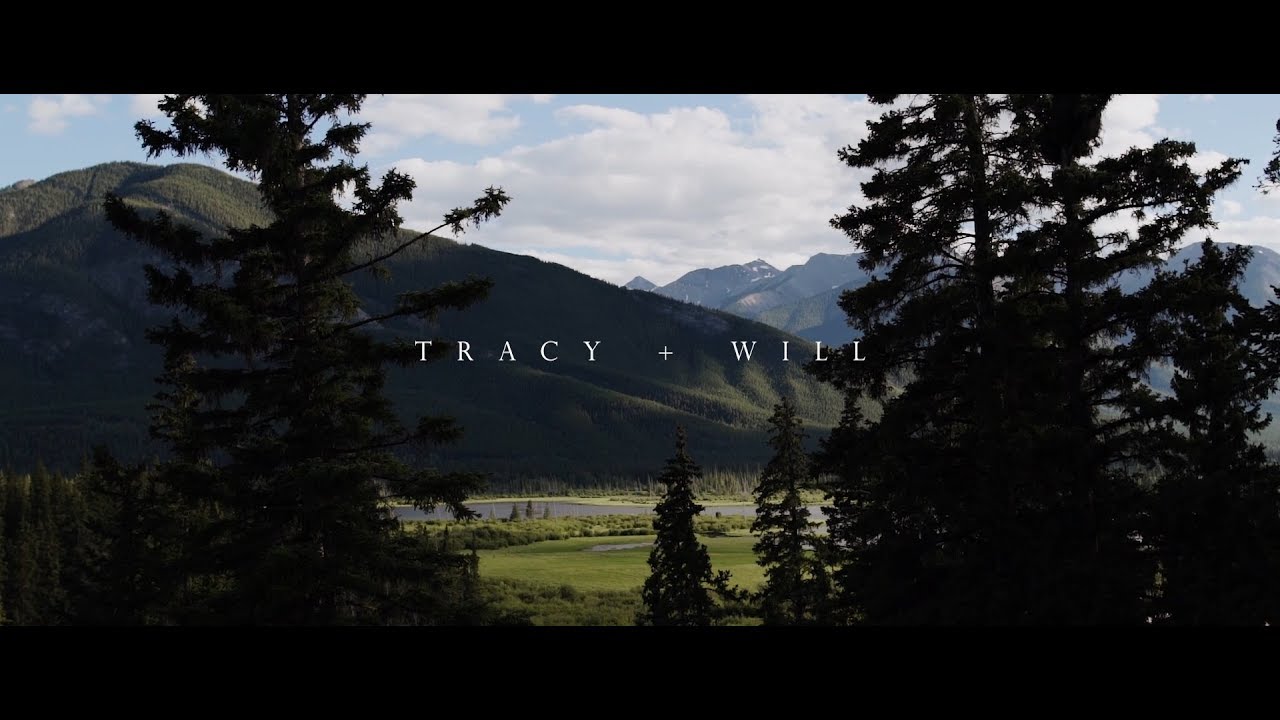 Hipster Forest Elopement with cutest dog named Lola!