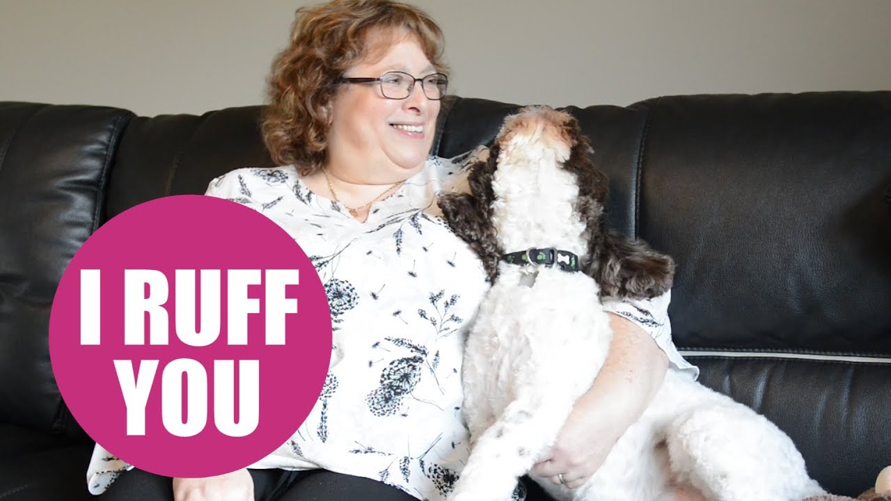puppy paradise DOG breaks into song every time his owner says 'I love you'