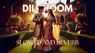 Dil Jhoom | Vishal Mishra | Gadar 2 | On Demand | Slowed and Reverb | #lofi #song ❤️❤️