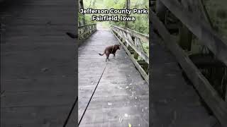 Jefferson County Park, Fairfield Iowa #hiking #doglife #park #fairfieldiowa