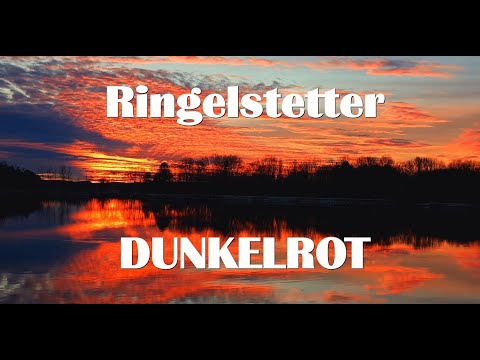 Ringelstetter DUNKELROT  Photostory 2022 01 10