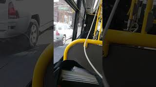 2/4 B44 SBS Sheepshead Bay Bus Ride