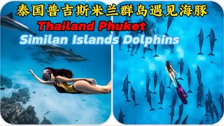 泰国普吉斯米兰群岛遇见海豚Thailand Phuket Similan Islands Dolphins