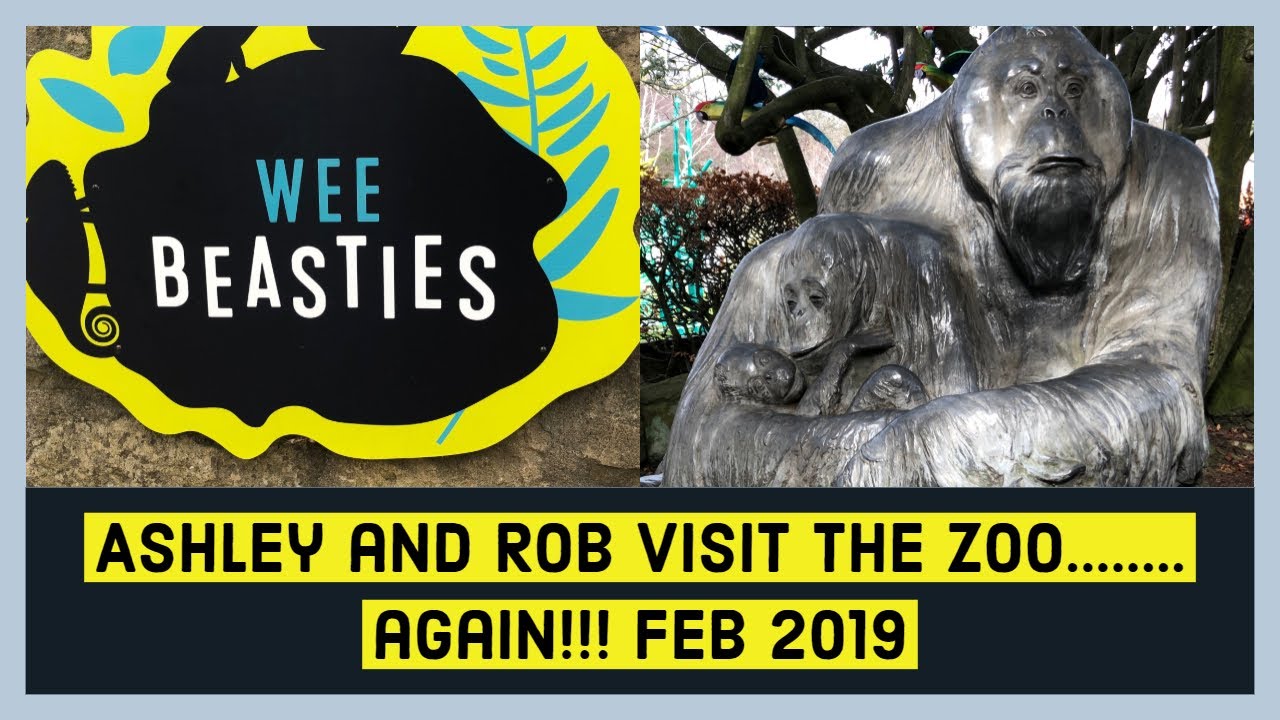 Edinburgh Zoo - February 2019 - YouTube