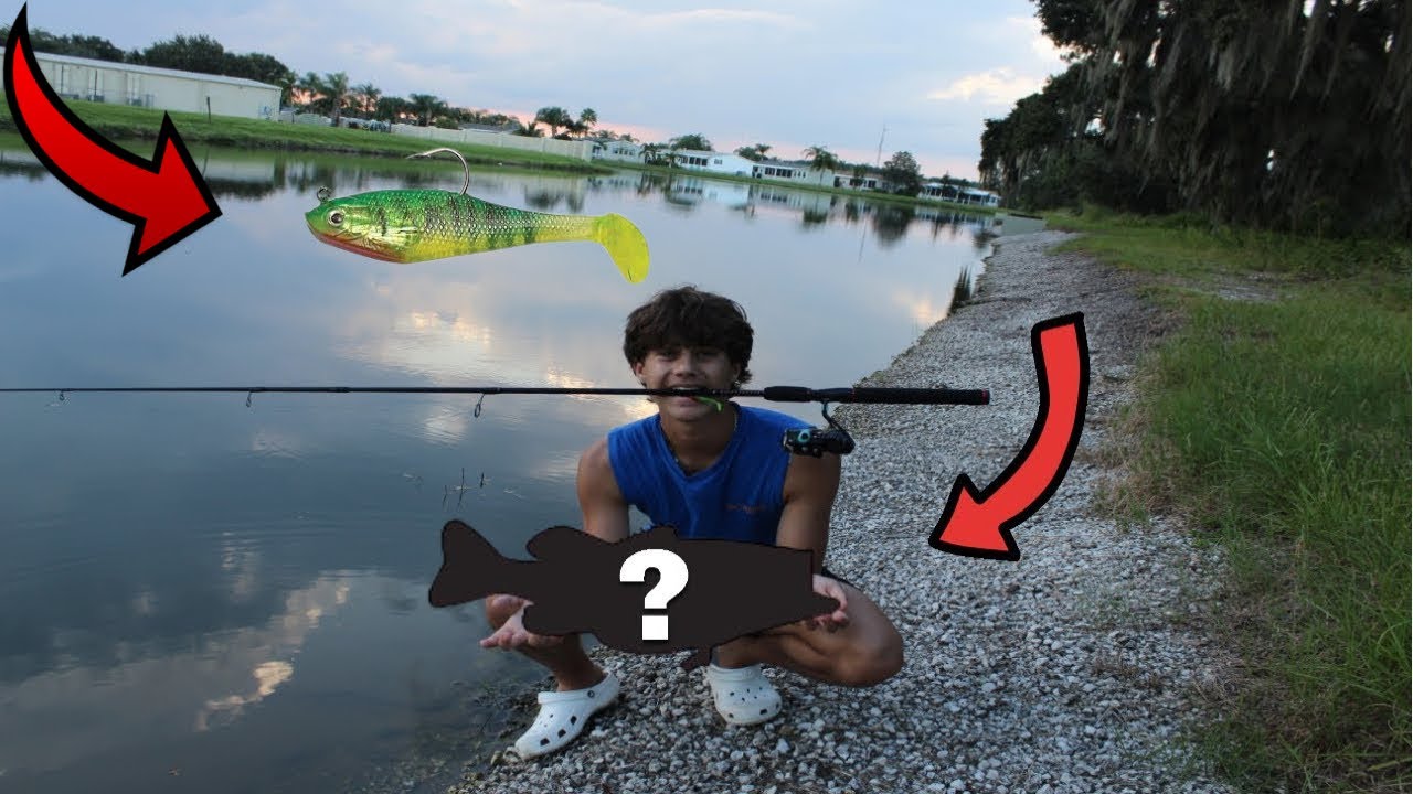 1 BAIT CHALLENGE (Bass Fishing)