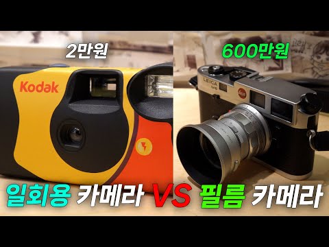 일회용 카메라 VS 진짜 필름 카메라 : 일회용 카메라 쓸만할까?