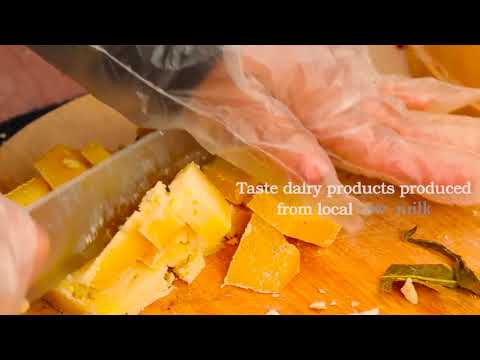 Cattle Expo 2019 მესაქონლეობის ექსპო 2019 თბილისი საქართველო Tbilisi Georgia