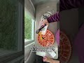 Smart Egg Incubator Review | 26 Egg Capacity, Auto Turner & Humidity Control