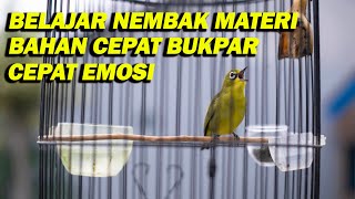 PANCINGAN PLECI BELAJAR NEMBAK MATERI , PLECI BAHAN CEPAT BUKPAR