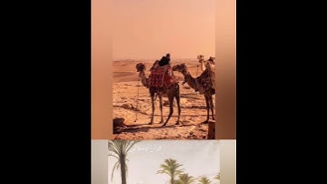 تلاوة خاشعة من سورة( إبراهيم )بصوت الشيخ سعود الشريم 🌿@quran_meanings