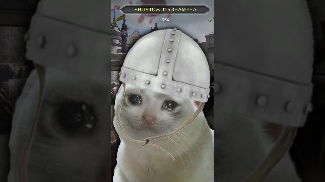 Купил Chivalry 2 на PlayStation 5