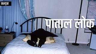 कल्ट्स - 𝐂𝐮𝐥𝐭𝐬