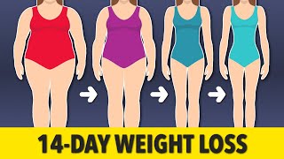 14-Day Full Body Weight Loss with Functional Exercises