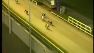 Igb - Slan Abhaile A1 05102019 Race 11 - Limerick