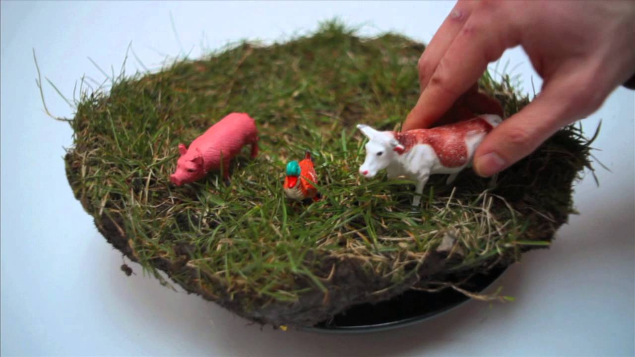 Lifestock farming - A close-up