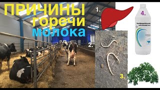 ПОЧЕМУ У КОРОВЫ ИЛИ КОЗЫ ГОРЬКОЕ МОЛОКО???